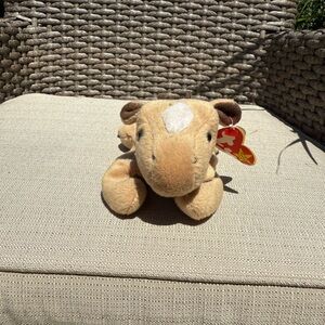 Variety of beanie babies